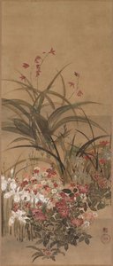 夏の花、1600 年代半ば。