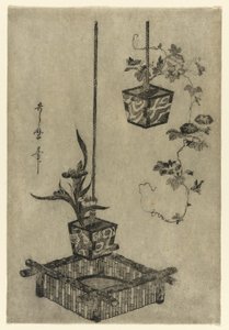 菖蒲と朝顔のアレンジメント 作： Kitagawa Utamaro