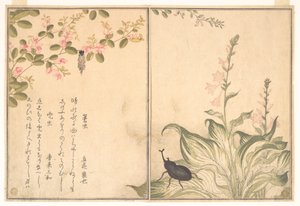  作： 北川歌ro