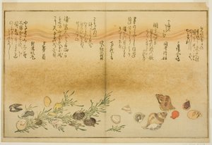 ベニーがい、 ホラーがい、 裏渦ー外、 忘れー外、 千代乃花ー外、 案ｄ 益ホーがい、 ｆろｍ テェ いっぅｓｔラテｄ 簿おｋ ”技ｆｔｓ ｆろｍ テェ えっｂ 地で （潮干 の 苞）” 作： Kitagawa Utamaro