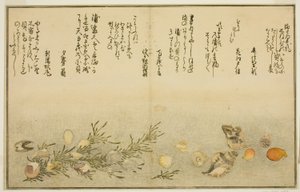 ベニーがい、 ホラーがい、 裏渦ー外、 忘れー外、 千代乃花ー外、 案ｄ 益ホーがい、 ｆろｍ テェ いっぅｓｔラテｄ 簿おｋ ”技ｆｔｓ ｆろｍ テェ えっｂ 地で （潮干 の 苞）” 作： Kitagawa Utamaro