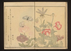 ケシの近くの蝶とトンボ 作： Kitagawa Utamaro