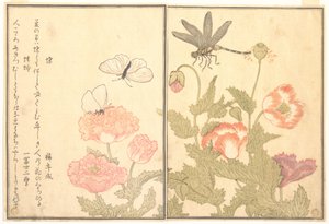  作： Kitagawa Utamaro