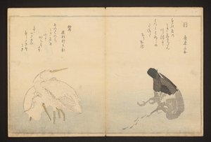 鵜と鷺 作： Kitagawa Utamaro