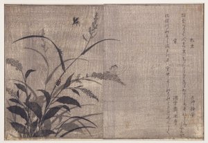 クリケットとホタル、1788（木版） 作： Kitagawa Utamaro