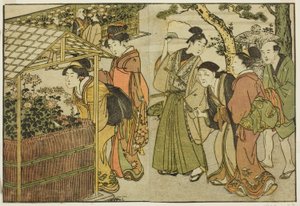 菊の展示 絵本「絵本 四季の花」vol. 2 作： Kitagawa Utamaro