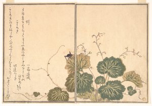  作： 北川歌ro