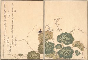 ミミズ、コオロギ...、1788年。 作： Kitagawa Utamaro