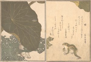 カエルのかえる、金のカブトムシのこがねむし...、1788年。 作： Kitagawa Utamaro