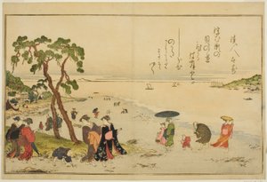 干潮時の貝拾い図鑑「潮干のつと」より
