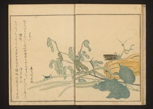 豆のバッタとメロンのカマキリ 作： Kitagawa Utamaro