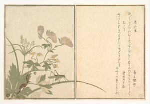  作： 北川歌ro