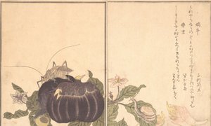カタツムリ、クツワムシ...、1788年。 作： Kitagawa Utamaro