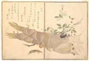  作： Kitagawa Utamaro