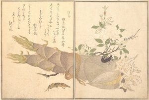 ケラ、ハサミムシ、ハサミムシ...、1788年。 作： Kitagawa Utamaro