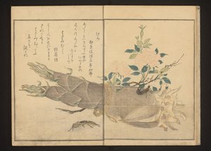 たけのこにケラとハサミムシ 作： Kitagawa Utamaro