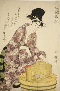 むらさきしきぶ 鳥 連載「名風詠歌花鳥風月」より 作： Kitagawa Utamaro
