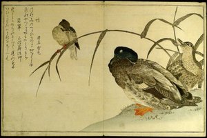 無数の鳥桃千鳥狂歌あわせ 作： Kitagawa Utamaro