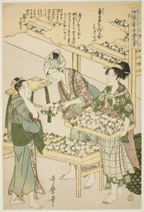 連載「養蚕手仕事草」より 6号（ろく） 作： Kitagawa Utamaro