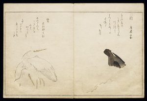 P.332-1946 Vol.1 f.4アルバム「鳥はユーモラスな歌で比較された」1791（カラーウッドブロックプリント）の右側の鵜と左側の2つのサギ 作： Kitagawa Utamaro