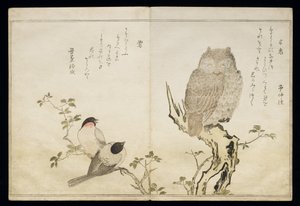 P.332-1946 Vol.2 f.4 1枚のフクロウと2匹のイースタンブルフィンチ（アルバム「鳥はユーモラスな歌で比較」）、1791年（カラーウッドブロックプリント）