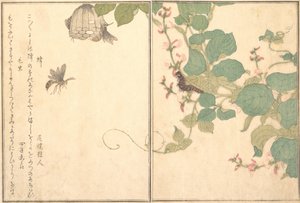 スズメバチのハチ、毛虫のケムシ...、1788年。 作： Kitagawa Utamaro