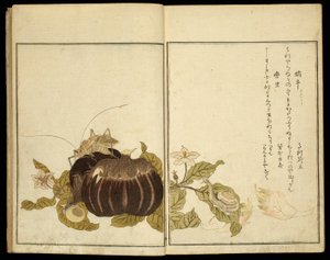 絵本選りすぐりの昆虫たち (えほんむしえらび)