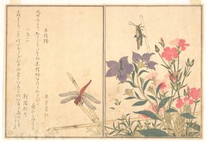  作： Kitagawa Utamaro