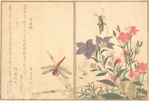 赤とんぼ赤とんぼ、イナゴイナゴ...、1788年。 作： Kitagawa Utamaro