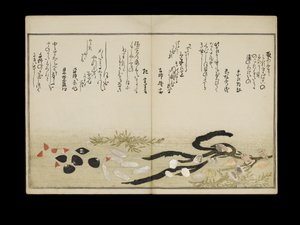 シェルブックとして知られる潮干の節、1789年（色木版画）