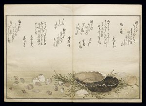 シェルブックとして知られる潮干の節、1789年（色木版画） 作： Kitagawa Utamaro