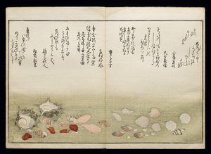 シェルブックとして知られる潮干の節、1789年（色木版画） 作： Kitagawa Utamaro