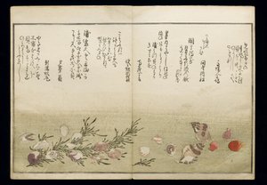 シェルブックとして知られる潮干の節、1789年（色木版画） 作： Kitagawa Utamaro