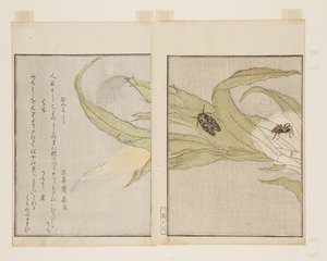 蜘蛛（雲）と蜩（ひぐらし）（カラー木版画