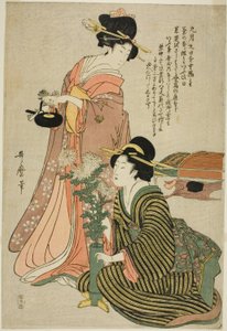 九月の菊の節 無題五節五節より 作： Kitagawa Utamaro