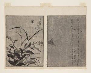 コオロギ（松虫）とホタル（蛍）（カラー木版画 作： Kitagawa Utamaro