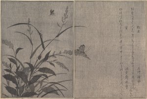 ツキノワグママツムシ、ホタルホタル...、1788年。 作： Kitagawa Utamaro