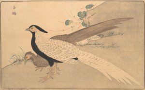 Bai xian、1789年。 作： Kitao Masayoshi