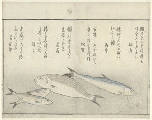 4匹の魚 作： Kitao Masayoshi