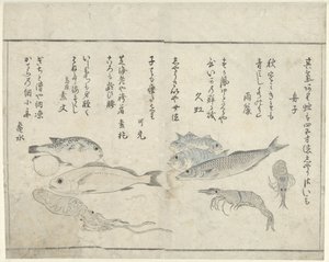 海洋性動物