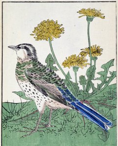 鳥です。北尾光彩による日本画 作： Kitao Shigemasa
