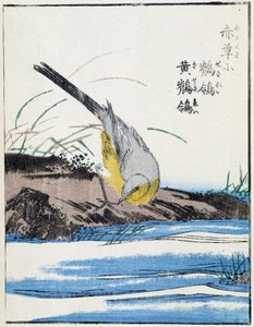 鳥です。北尾光彩による日本画 作： Kitao Shigemasa
