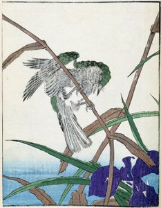 木の上の鳥。北尾光彩による日本画 作： Kitao Shigemasa