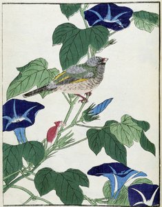 木の上の鳥。北尾光彩による日本画 作： Kitao Shigemasa