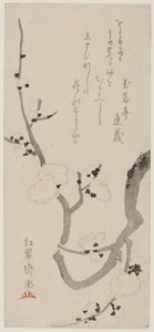 梅の枝 作： Kitao Shigemasa
