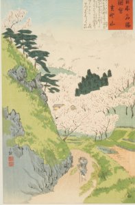 吉野山、桜の花 作： Kiyochika Kobayashi