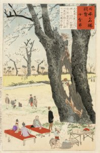 小金井市、桜の名所 作： Kiyochika Kobayashi
