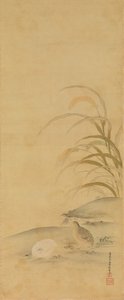 ウズラとキビ 17世紀後半 作： Kiyohara Yukinobu