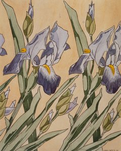 アイリス、1898 作： Koloman Moser