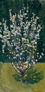 開花苗木 作： Koloman Moser